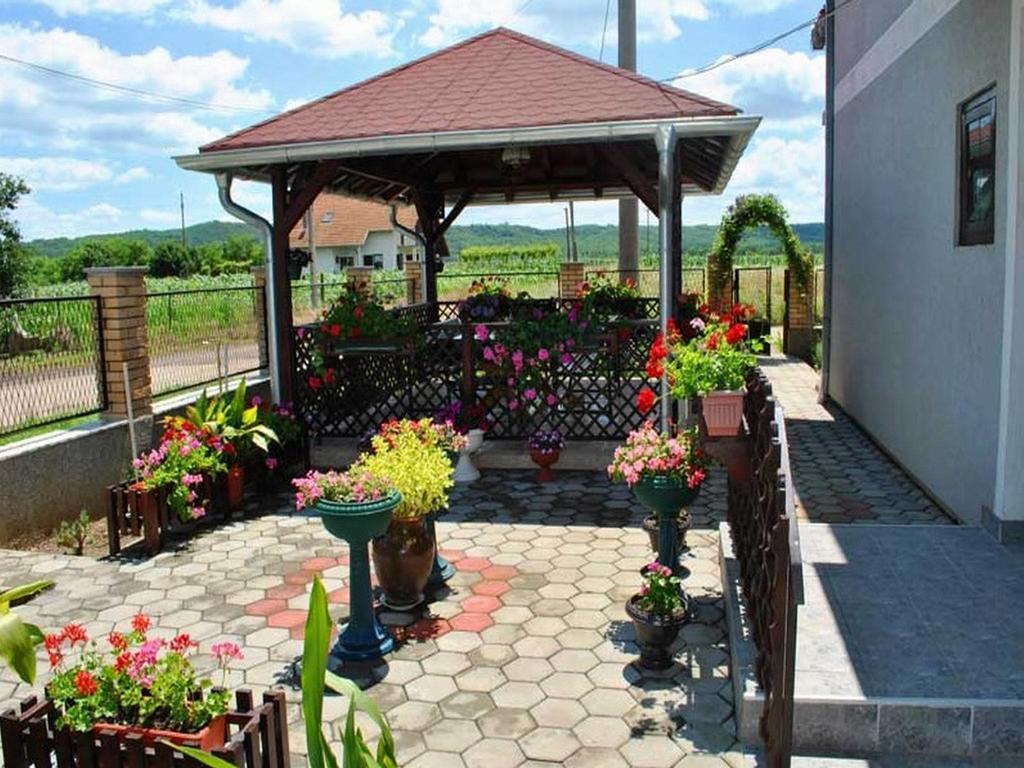 Guest House Dunavski Raj Kostol Exterior photo